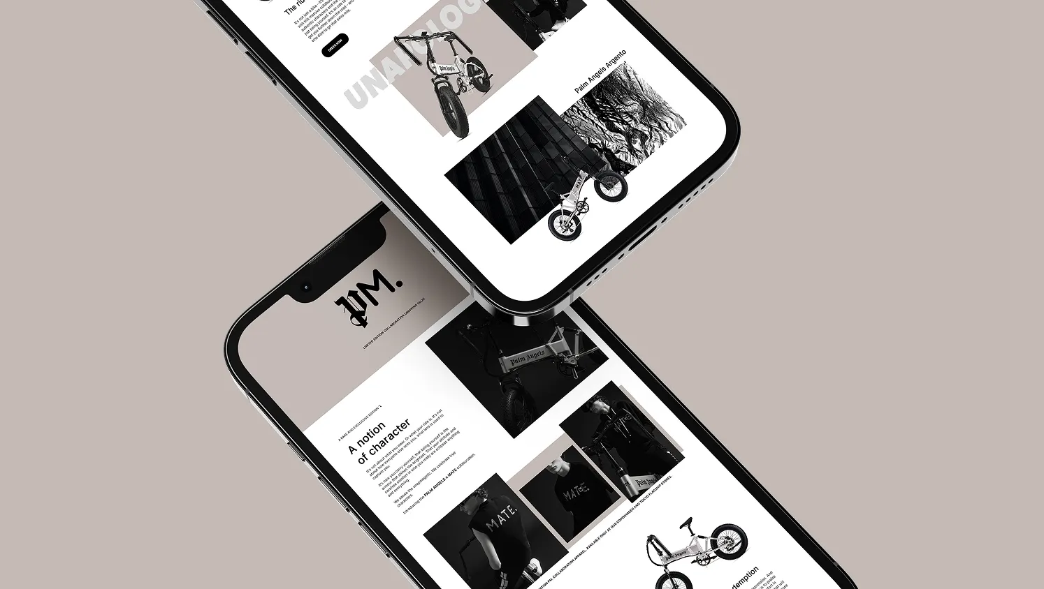 Palm Angels — campaign landing page