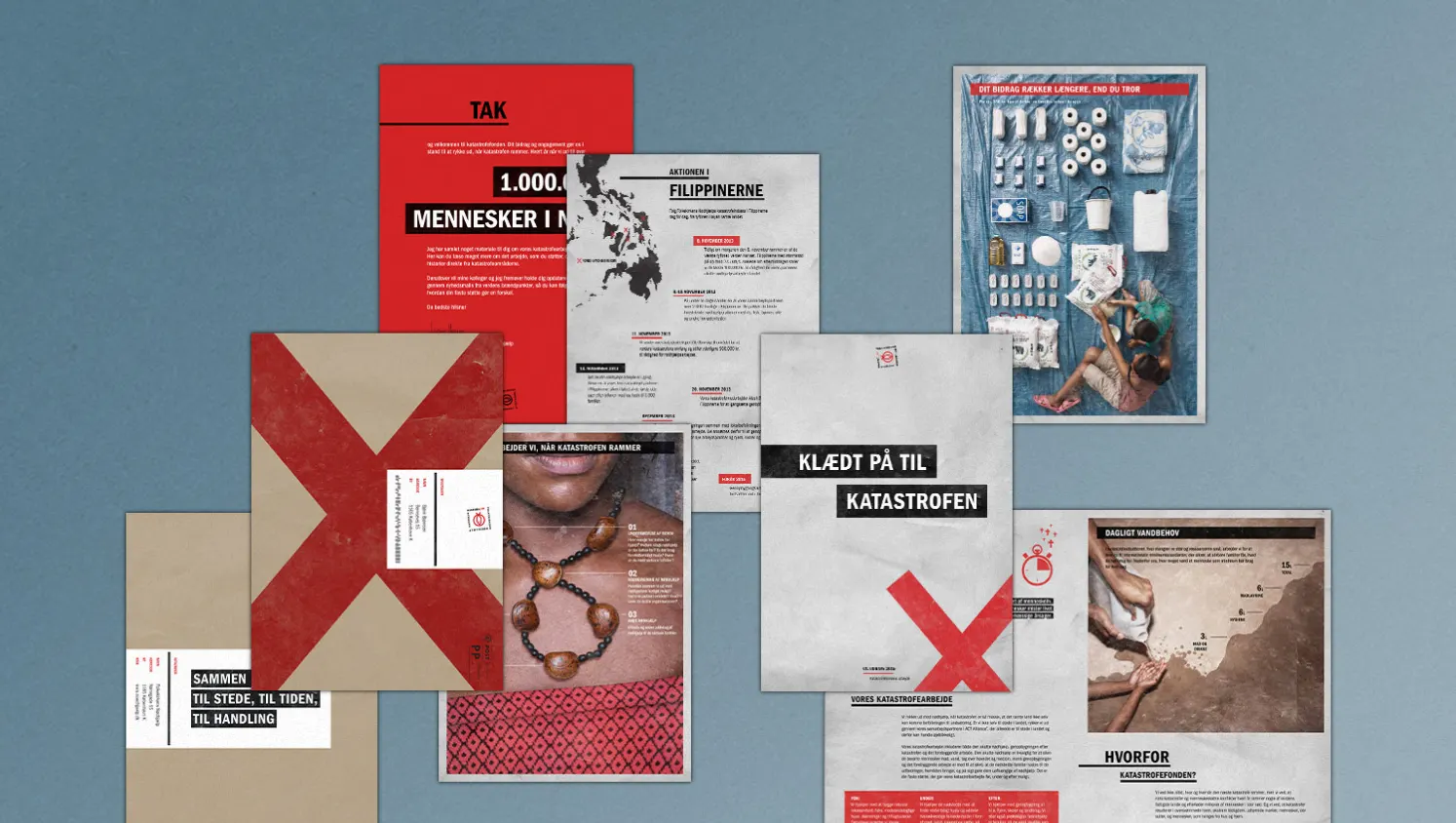 DanChurchAid — the full package for donors